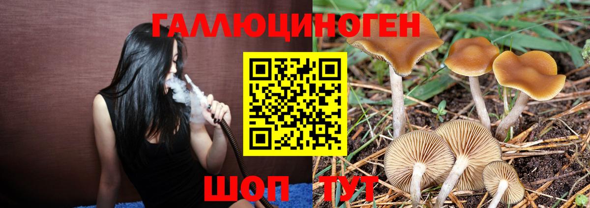 Галлюциногенные грибы MAGIC MUSHROOMS Первоуральск